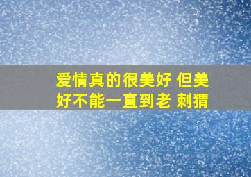 爱情真的很美好 但美好不能一直到老 刺猬